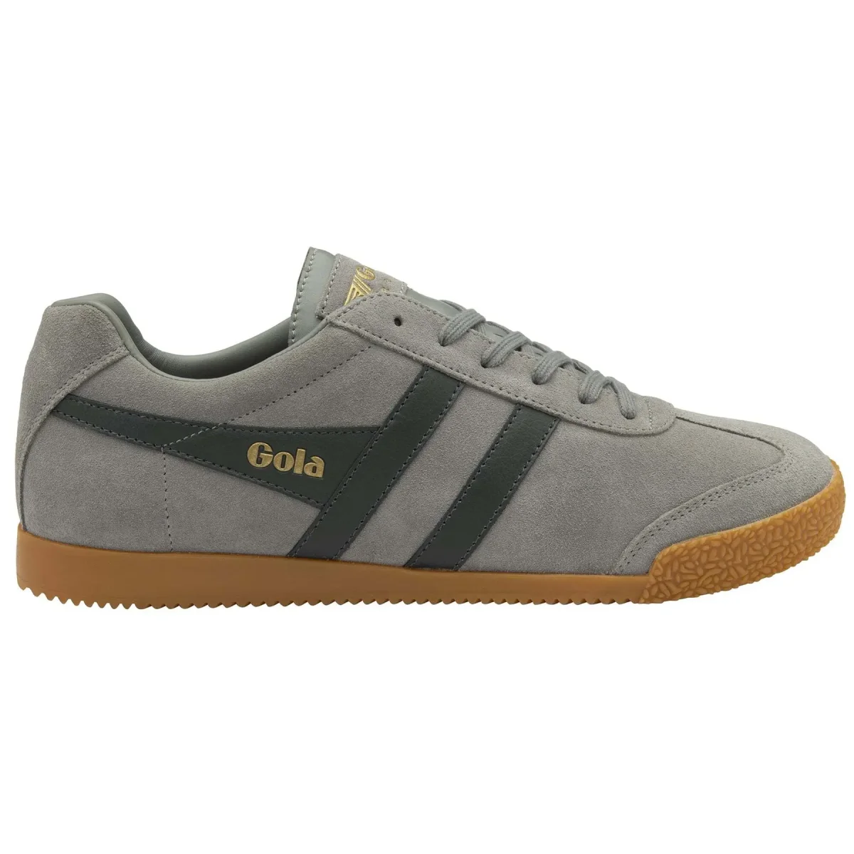 Gola Baskets Gola Harrier