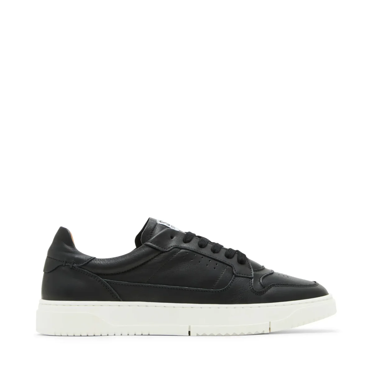 Steve Madden Baskets Steve Madden Cliff
